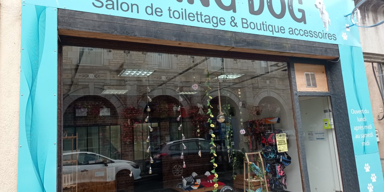 King Dog votre salon de toilettage pour chien et boutique d’accessoires canin à La Haye Pesnel (50 Manche). Prenez rendez vous ici !