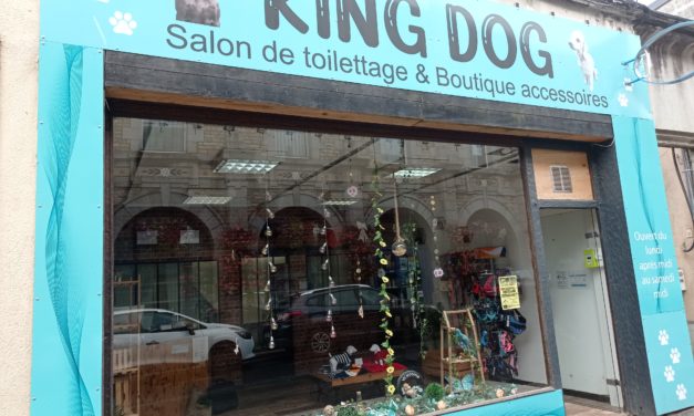 King Dog votre salon de toilettage pour chien et boutique d’accessoires canin à La Haye Pesnel (50 Manche). Prenez rendez vous ici !