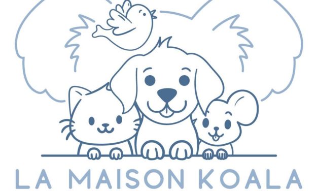 La Maison Koala, votre Pet Sitter professionnelle située sur la région de Vitré (35 Ille et Vilaine). garde vos chiens, chats et nacs. Labellisée par l’association France Pet Sitter. Contactez moi ici !!!