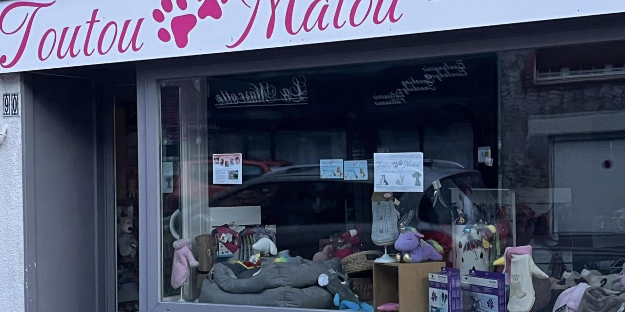 Toutou Matou à Granville c’est plus de 50m² de magasin pour chien et chat. Alimentation / Sellerie / Couchage / Transport / Jouets / Produits de soins / Prêt à porter. Equipement cani cross, agility, dressage, Equipement électronique et GPS (sur commande). Accessoires divers pour chien et chat.